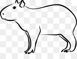 fofa capivara, desenho animado em transparente fundo, ai gerado 24822304 PNG