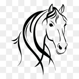 Desenho Horse & Hound Cavalo árabe Máscara de cabeça de cavalo, cavalo de  fogo, cavalo, diverso, branco png