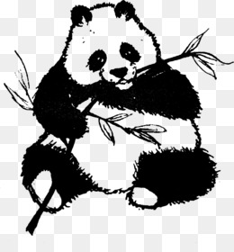 Panda gigante 0 Snout Cuteness Smiley, panda, rosto, outros png