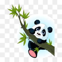 Panda gigante, gráficos Po, desenho animado, urso polar, branco, animais,  gato Como mamífero png