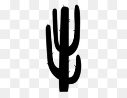 Cacto verde, desenho de Cactaceae Saguaro, Arizona Cowboy s, mão, planta  Haste, cacto png
