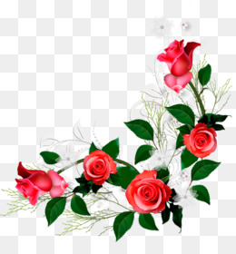 Featured image of post Imagens Rosas Vermelhas Png Pngtree fornece 2 125 gr tis imagensrosas vermelhas png psd vetores e clipart