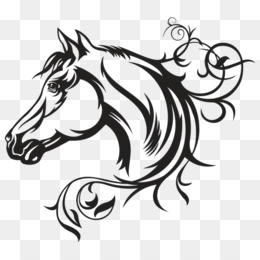 desenho de cabeça de cavalo 12025553 PNG