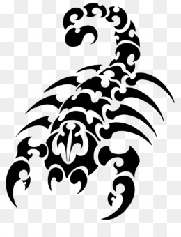 Tribal Tattoo Designs Da América fundo png imagem png Tatuagem de escorpião Clip Arte