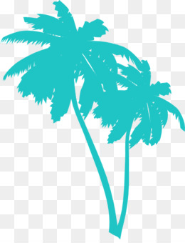 Sabal Palm Fundo Png Imagem Png Arecaceae Arvore De Coco Clip Art Arvore Png Transparente Gratis