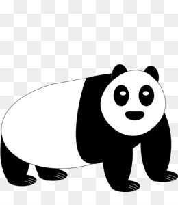 Desenho de urso panda gigante Animaatio, urso, animais, fotografia