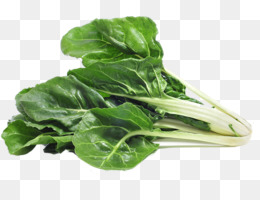 Vegetais Folhosos Fundo Png Imagem Png Acelga Espinafre E Vegetais Verdes De Fotografia Stock Vegetal Png Transparente Gratis