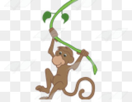 Macaco-aranha-marrom - Wikiwand