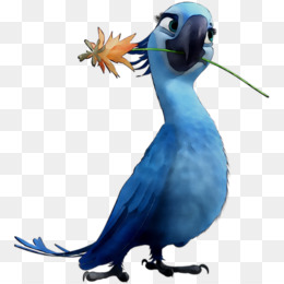 Rio 2 Fundo Png Imagem Png Blu Rio Filme De Animacao De Clip Art Rio 2 Png Transparente Gratis