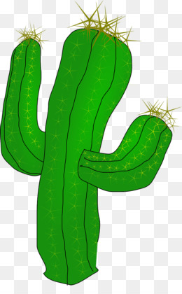 Ilustração de planta de cacto cinza, Cactaceae Saguaro, Cactus 8, azul,  paisagem, planta Haste png