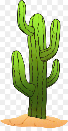 Cactus. Кактус. PNG. em 2023  Arte com cactos, Cactos desenho, Ilustrações