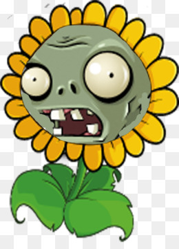 Sunflower Plants Vs Zombies png download - 1196*1073 - Free