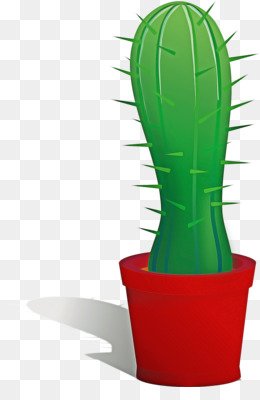 Desenho de cacto verde, Cactaceae Cartoon Saguaro, Cartoon Cactus s, folha,  vertebrado png