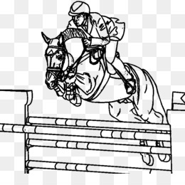 Obstáculos a saltar a cavalo Gallop Show pulando, cavalo, png