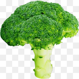 Vegetais Verde Fundo Png Imagem Png Vegetais Verde Batata Doce Folha Vegetais Verde Atira Png Transparente Gratis