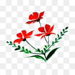 Flores Mexicanas fundo png & imagem png - As rosas do jardim de Repolho  rose flores de Corte Floribunda - Flores Mexicanas png transparente grátis