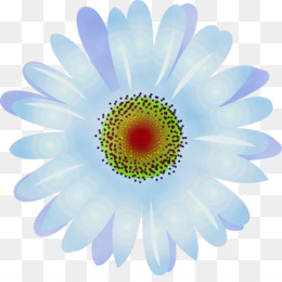 Azul, Gerbera, Flor png transparente grátis