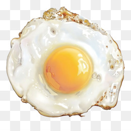 egg png download - 4096*4096 - Free Transparent Fried Egg png Download. -  CleanPNG / KissPNG