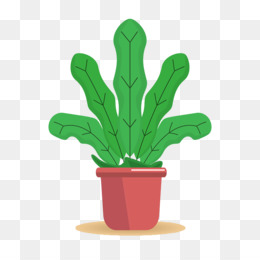 Desenho de cacto verde, Cactaceae Cartoon Saguaro, Cartoon Cactus s, folha,  vertebrado png