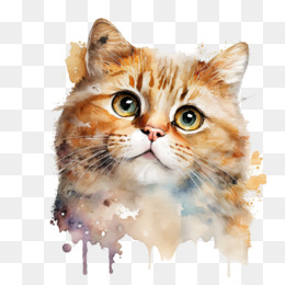 Desenho engraçado de gatos PNG transparente - StickPNG