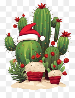 pretty_cactus.PNG (570×533)  Cactos desenho, Cactus ilustração