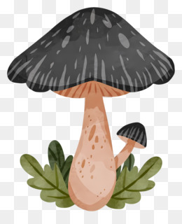 Fungo Desenho Cogumelo Brown cap boletus, cogumelo, Pintura em aquarela,  comida png