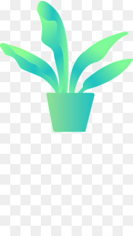 Green Cacto Saúde Plant PNG , Realista, Mão, Realista Imagem PNG e PSD Para  Download Gratuito