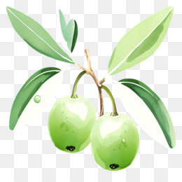 Olive Branch fundo png & imagem png - Ramo de oliveira coroa de Louros  Clip-art - Coroa De Louros Imagens png transparente grátis