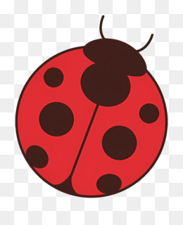 Ladybug Wings fundo png & imagem png - joaninha - Joaninha com manchas ...